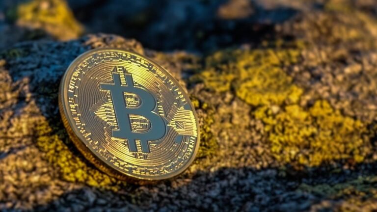 2026 Crypto Lending Platforms: The Simple Review Guide
