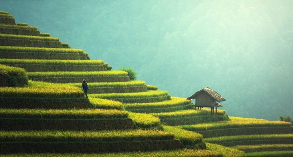 Exploring Crypto's Role in ESG Investing